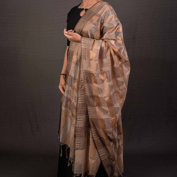 Beige Brown Colour Chanderi Feel Dupatta